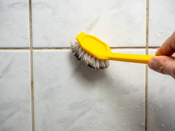 Best Professional Mold Removal  in Carlisle, PA