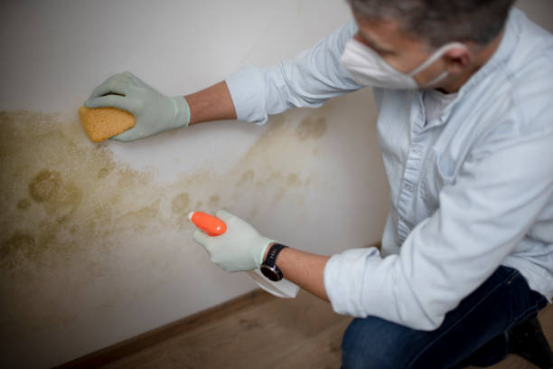 Best Crawl Space Mold Removal  in Carlisle, PA