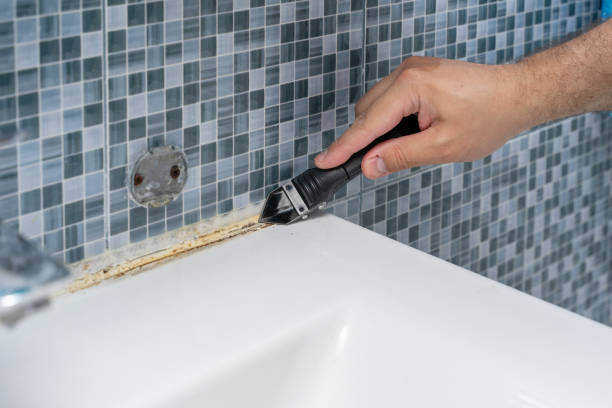 Best Mold Damage Repair  in Carlisle, PA